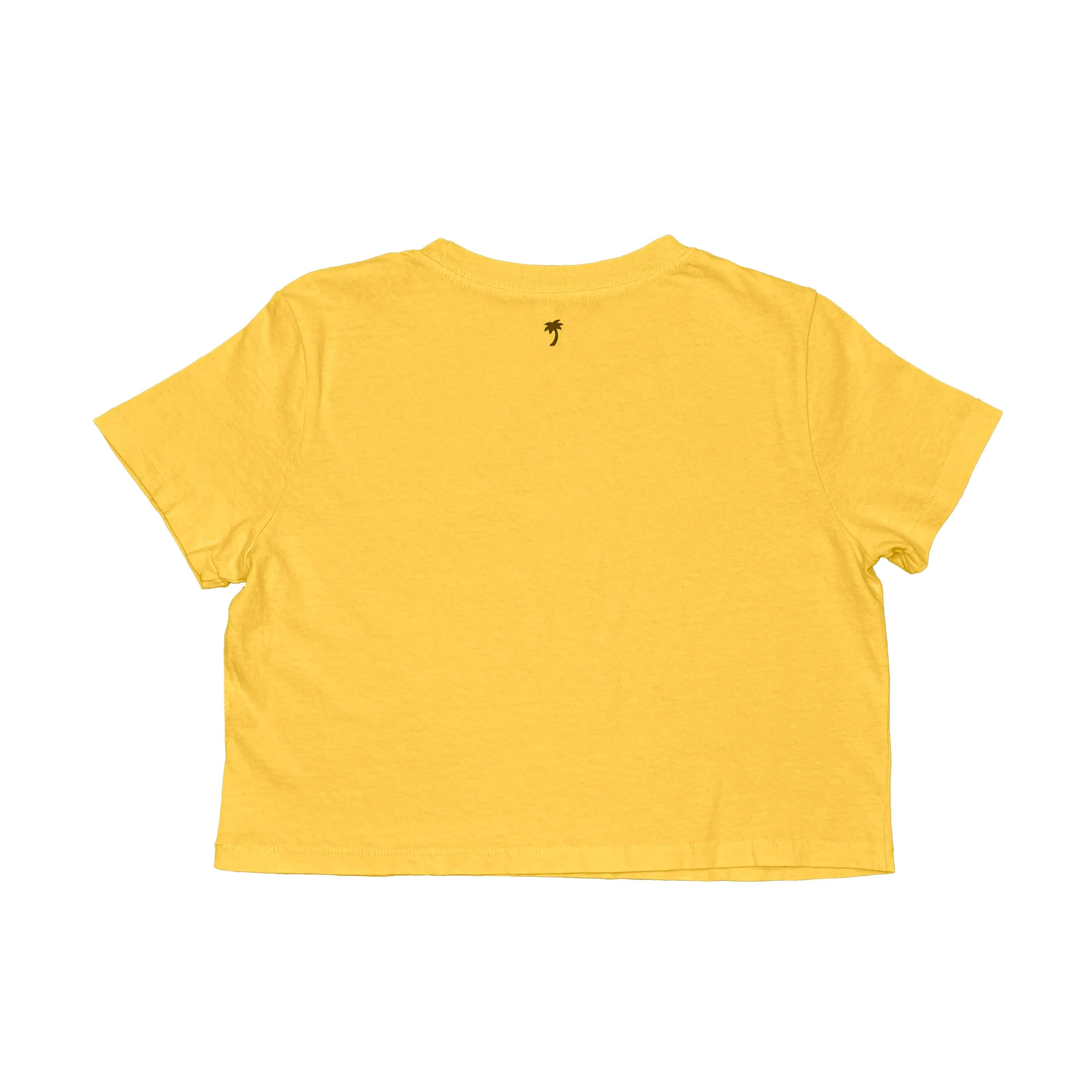 MINI RAINBOW CROP TEE